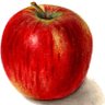 Test1_'s profile picture