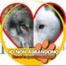 ElderWolf 🐺 profil fotoğrafı