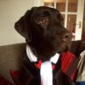 JonnyWharton's profile picture