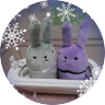 ❄綾羅@🌙の住人❄'s profile picture
