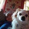 P profil fotoğrafı