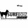 Profilbild von Olanrewaju Sureboiz Kennel