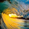 moonlight surfer's profile picture