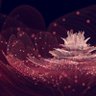 StarSwan 的头像