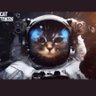 MP...🔋🚀💬 profil fotoğrafı