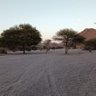 وداد الجلال 的头像