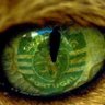 Profilbild von Nuno SCP