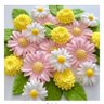 Фото профиля Pinkdaisylemon
