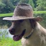 Jktwok's profile picture