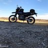 Back Country Rambler 的头像