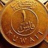 الكويت فوق الحميع profil fotoğrafı