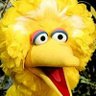 BigBird87🐥's profile picture