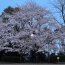 たくちゃん profil fotoğrafı