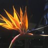 Фото профиля Patricia