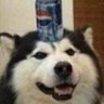 Profilbild von meme