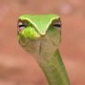 Обыкновенный цинизм's profile picture