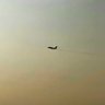 Wingman's profile picture