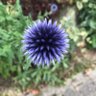Dr. Bodo Schiffmann's profile picture