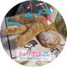 Profilbild von まちこ