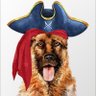 Profilbild von Shill Sniffing Dog