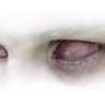 Profilbild von Lyuben Filev