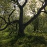 Фото профиля Martin Elvemo