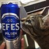 Şeref's profile picture
