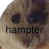 Hampter 的头像