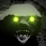 Profilbild von Keep Calm HODL On
