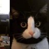 หิวข้าวมันไก่'s profile picture