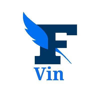lefigarovin's profile picture