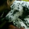 REEMA 的头像