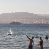 الدب العربي profil fotoğrafı