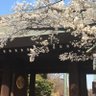 Фото профиля 荒山