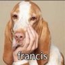 Francis 的头像