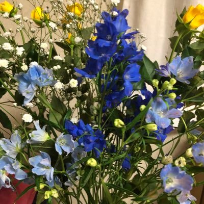 saigetsumiki315's profile picture
