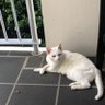 Jane Reedman-Smith's profile picture