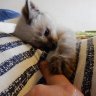 Фото профиля 未来へ　フリースクール立ち上げたい