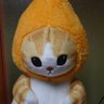 たーちゃん 的头像