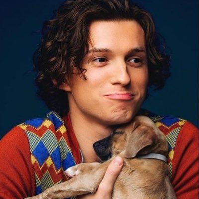 tomhollandfiles's profile picture