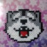 suzuシッポ profil fotoğrafı