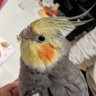 motoki profil fotoğrafı