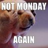 Is not monday (even if it says so) 的头像