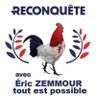 🇫🇷🌿La France a besoin de ZEMMOUR 🇫🇷🌿⚜️ profil fotoğrafı