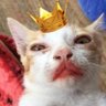 Derpeh profil fotoğrafı