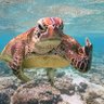 Αταιριαστος profil fotoğrafı