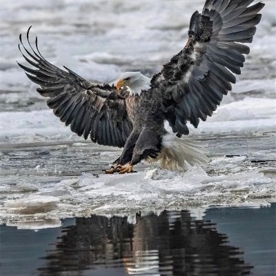whaditizzz's profile picture
