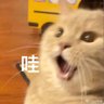 流云（涩涩版） profil fotoğrafı
