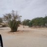 Profilbild von المزيون