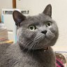 アルム 的头像
